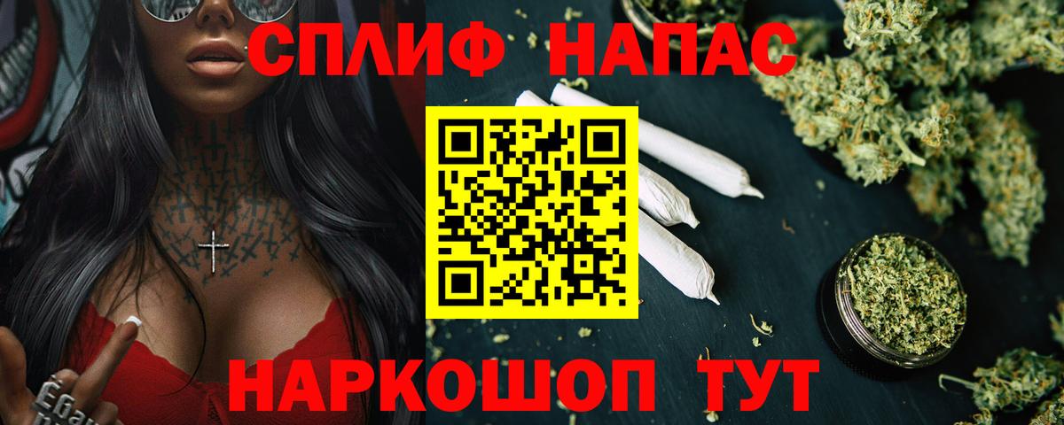 Конопля гибрид  Марихуана планчик  Гатчина  Каннабис план  Вход с VPN 