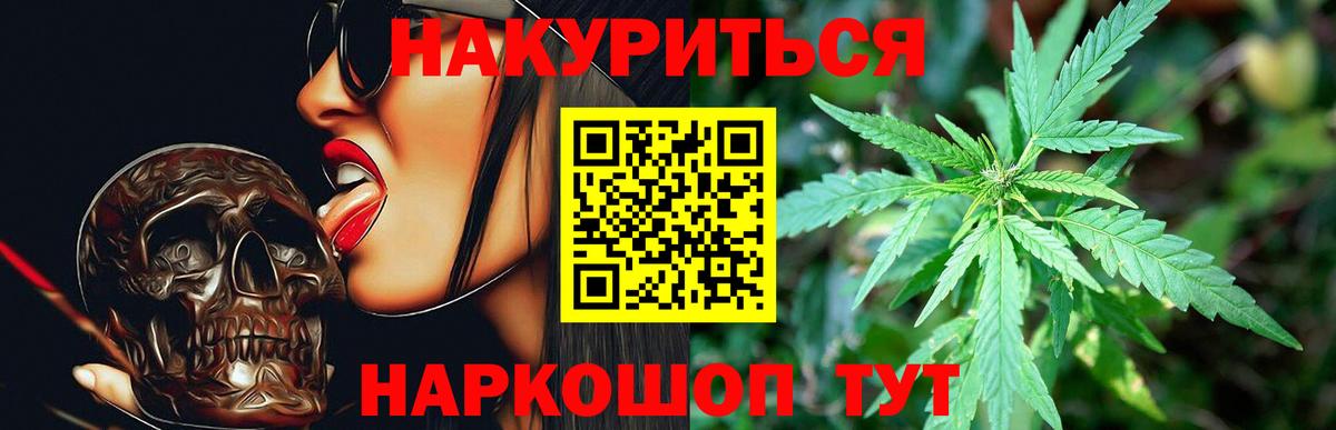 Канабис SATIVA & INDICA Гатчина